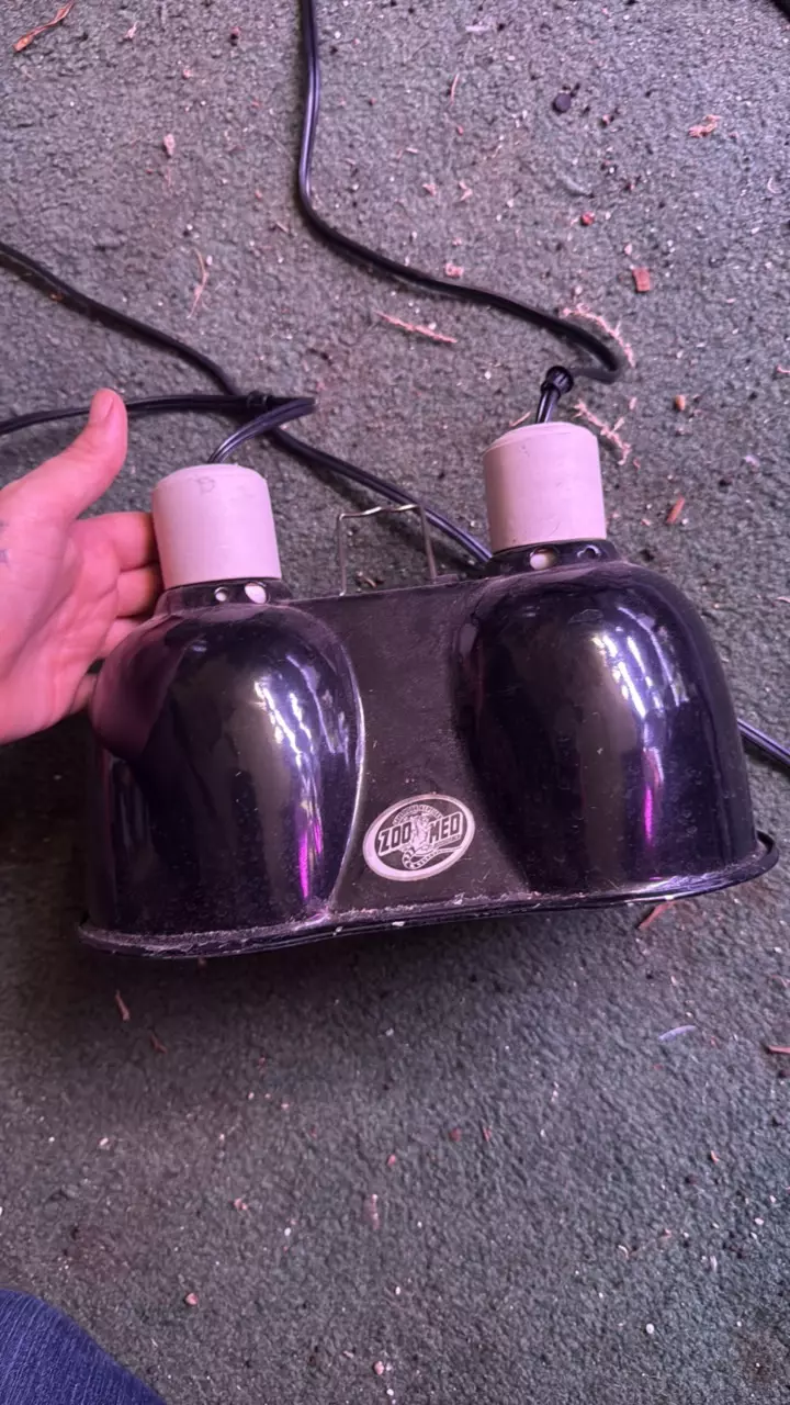 Zoo med dual heat light thumbnail