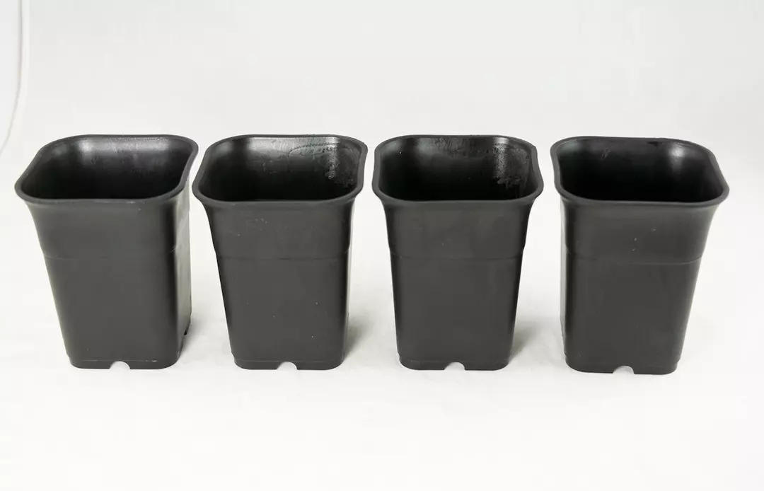 4 pots - Yubonzai 3.25" Heavy Duty Square Black Plastic Cascade Bonsai Training Pot, Cactus & Succulent, Orchid Planter  thumbnail