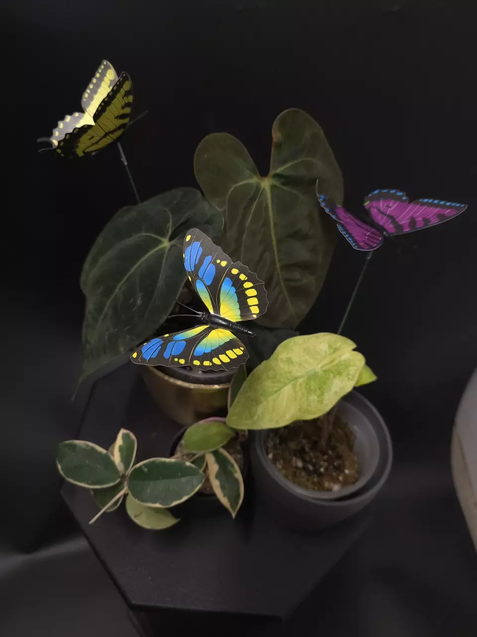 Butterfly Plant Stakes 3 Pack **ADD ON ONLY** thumbnail