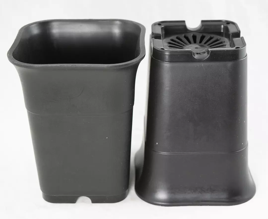 2 Pots - Yubonzai 4.75" Heavy Duty Square Black Plastic Cascade Bonsai Training Pot, Cactus & Succulent, Orchid Planter thumbnail