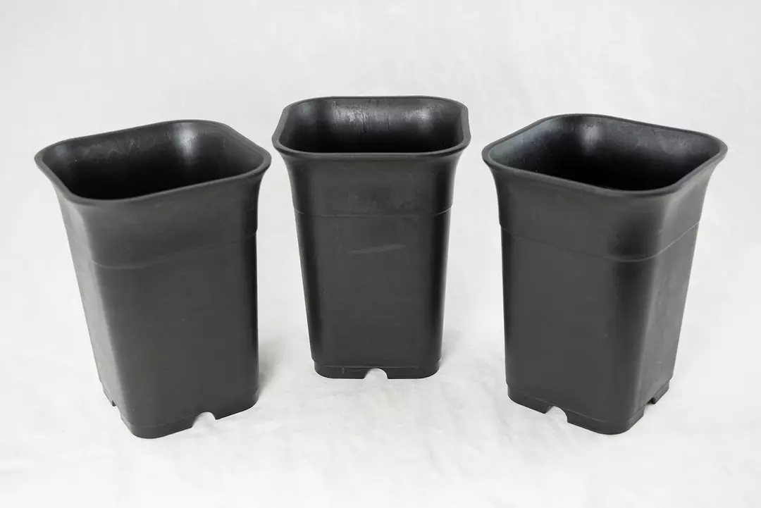 3 Pots - Yubonzai 4" Heavy Duty Square Black Plastic Cascade Bonsai Training Pot, Cactus & Succulent, Orchid Planter thumbnail