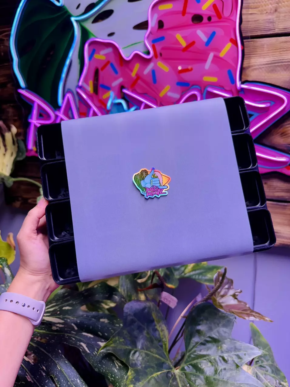 Murder mini pot tray thumbnail