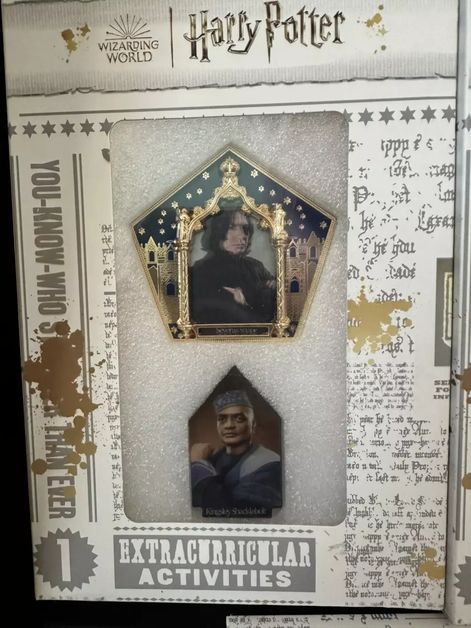 Merch:  Chocolate frog magnet set with 9 inserts thumbnail