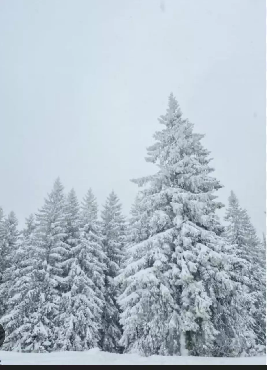 Winter Insulation thumbnail