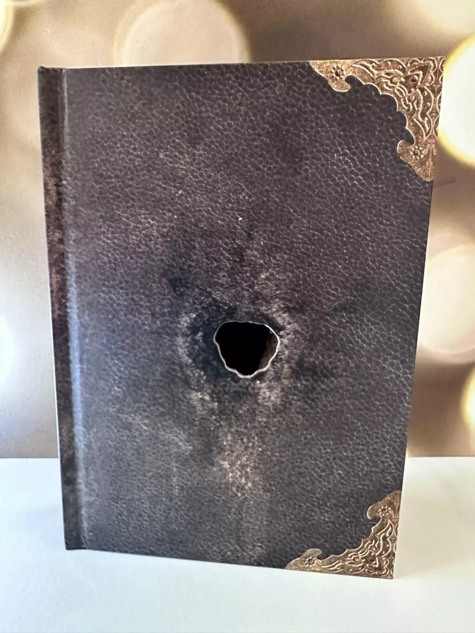 Merch: Riddles Diary thumbnail