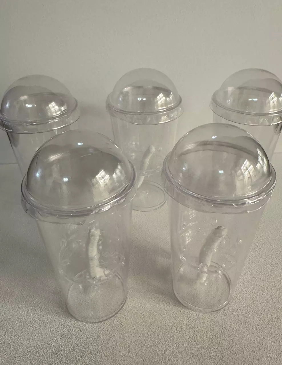 Self-watering Pup Cups thumbnail