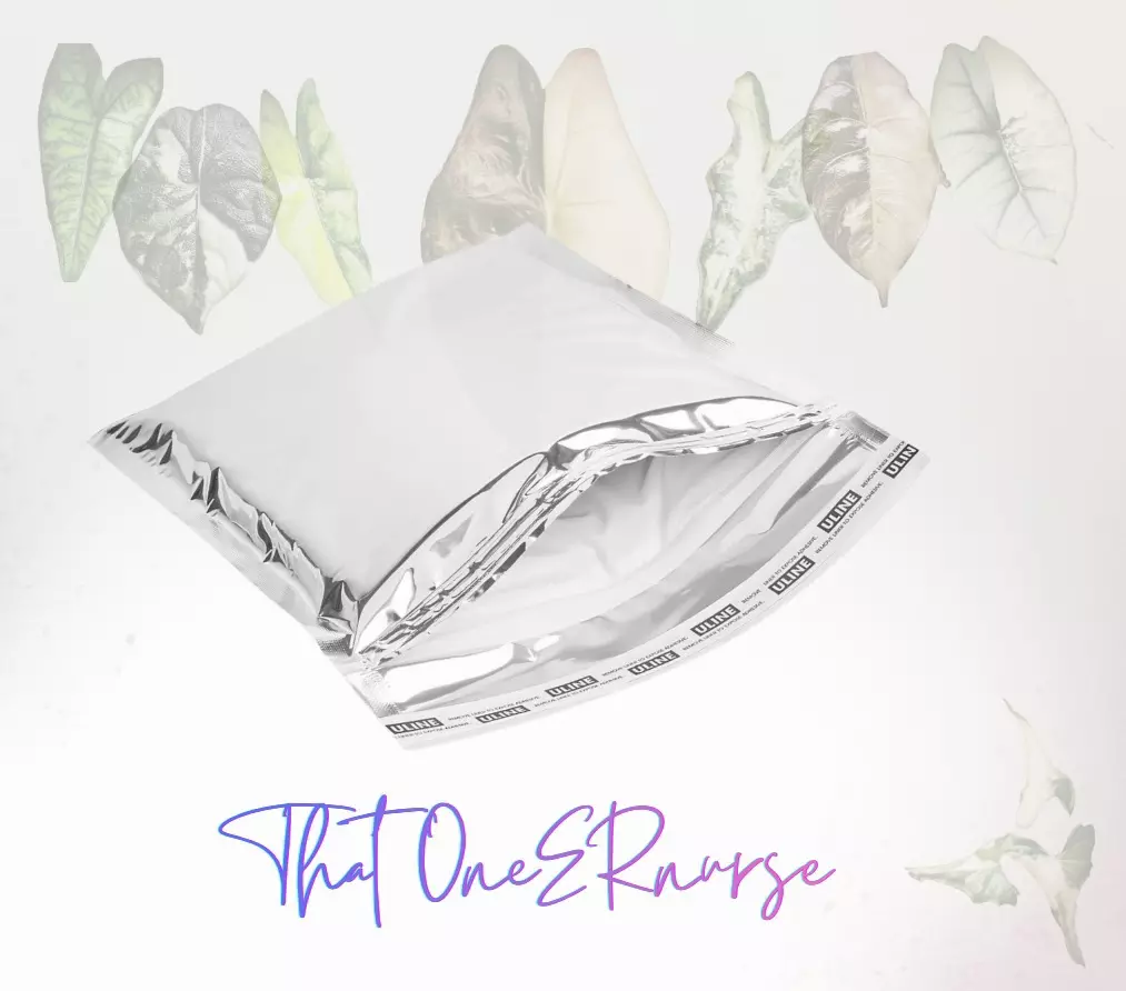 Foam insulated shipping mailer - add on for corms only ($6) thumbnail