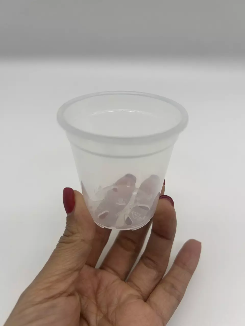 2.5” Clear Nursery Pot (Set of 8) thumbnail