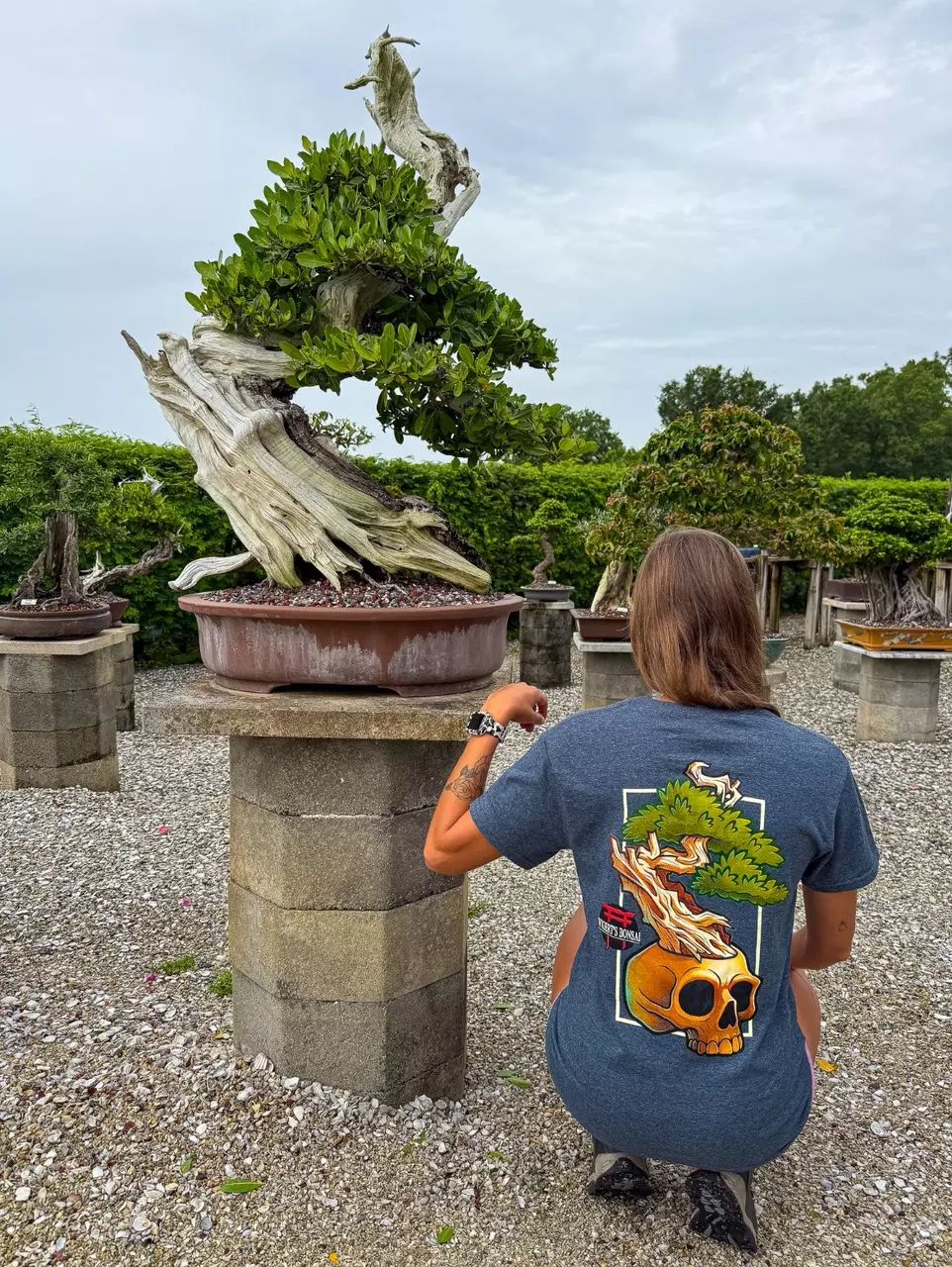 Wigert’s Bonsai Skull Shirt – Charcoal thumbnail