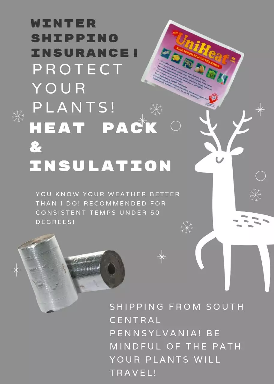 ⛄WINTER SHIPPING PROTECTION ❄️ thumbnail