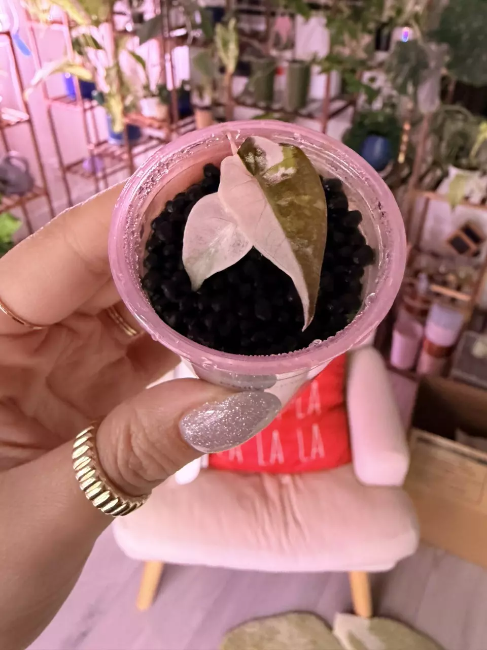 Take me home tonight!!!! thumbnail