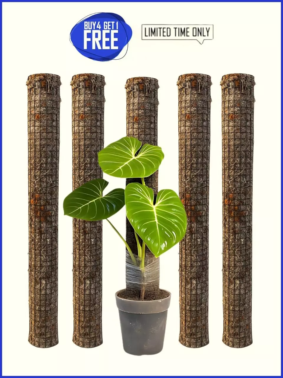 The Skyward Steel Bundle | Buy 4 24" Steel Poles, Get 1 FREE! thumbnail