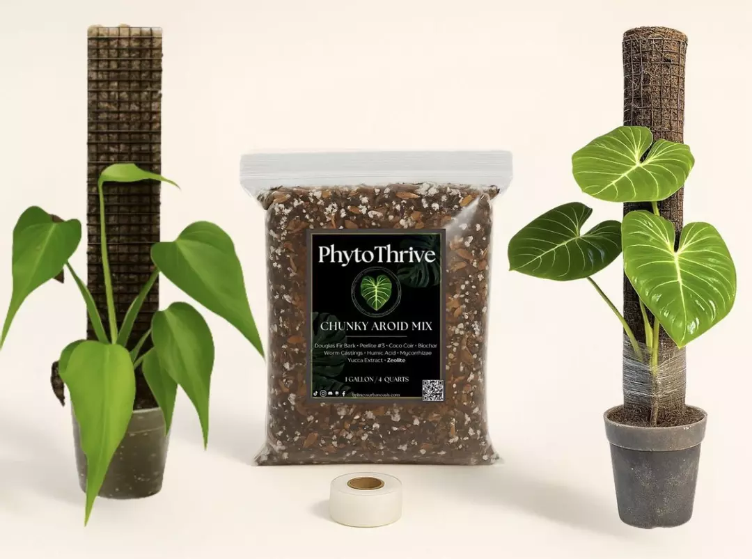 Climber’s Kickstart Kit — 24" Plant Pole + PhytoThrive Aroid Mix + Grafting Tape thumbnail