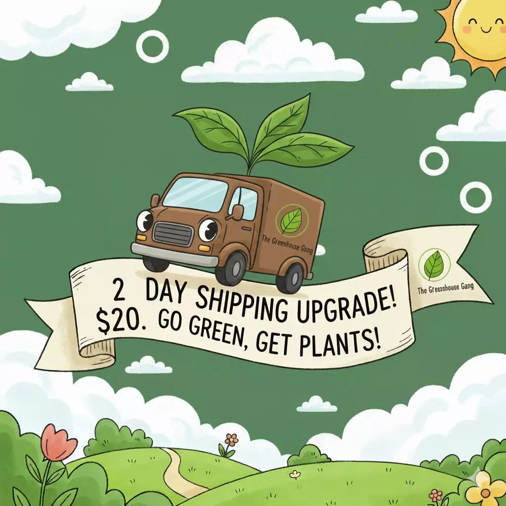 2 day shipping upgrade thumbnail