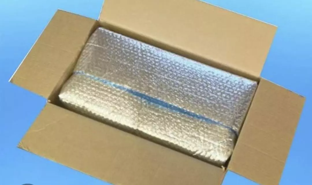 ❄️PLEASE READ DESCRIPTION!❄️ Listing for insulation only, no heat pack. thumbnail