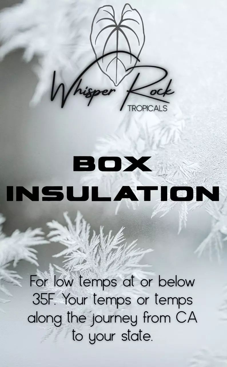 Box (double) Insulation thumbnail