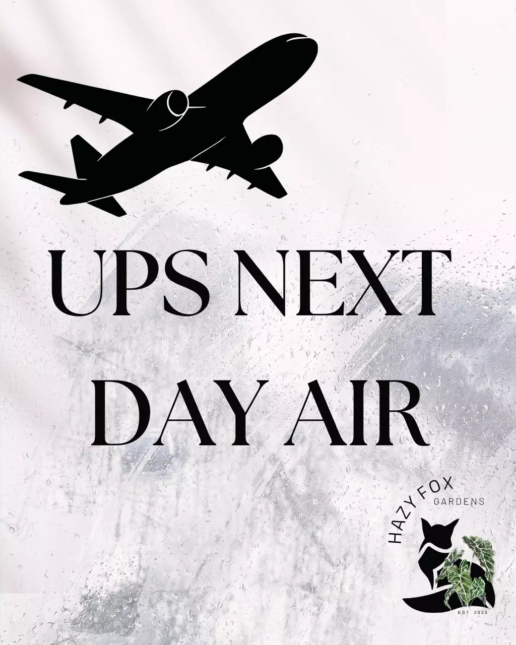 UPS Next Day Air Upgrade thumbnail