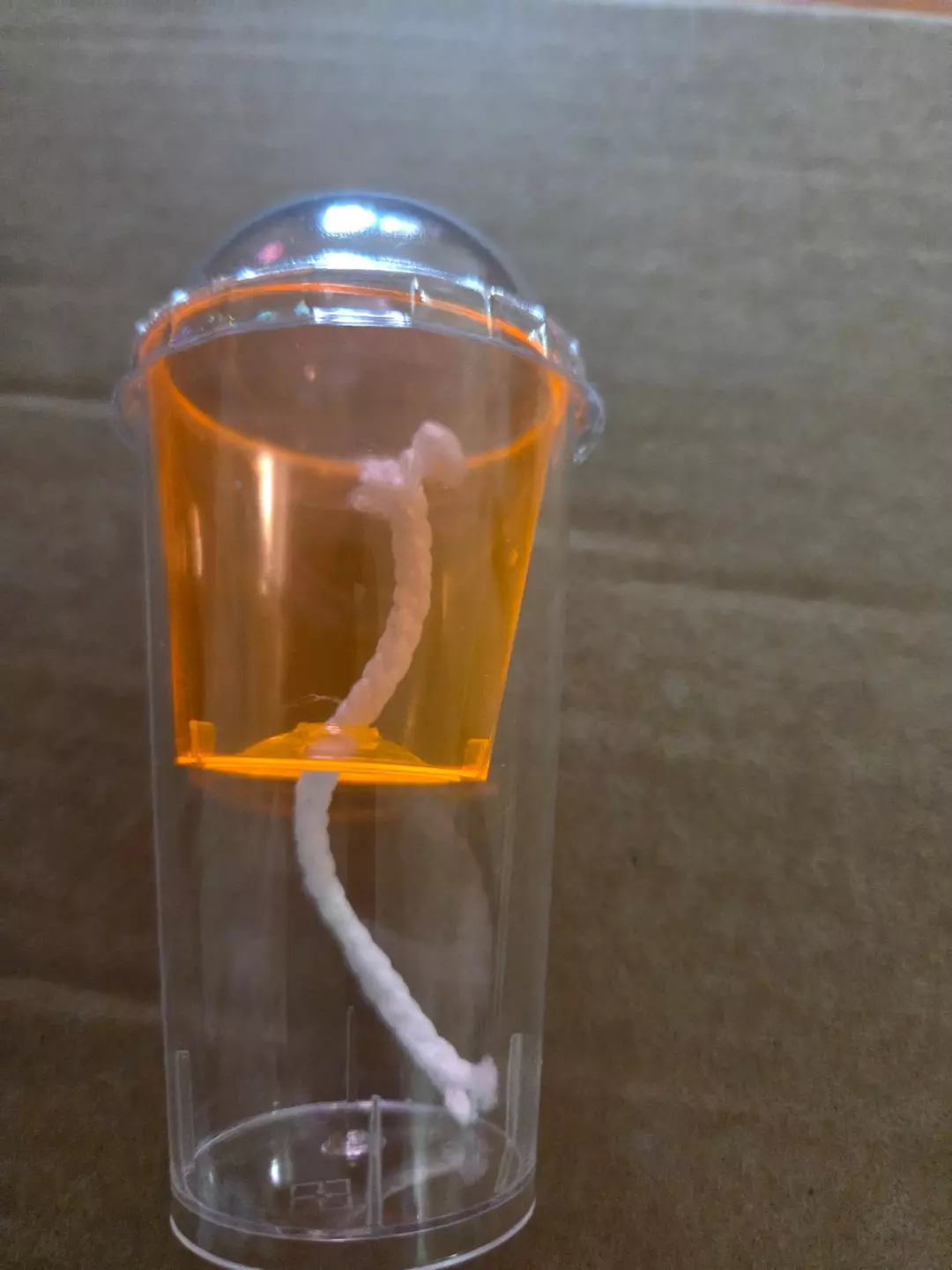 4 neon corm cups thumbnail