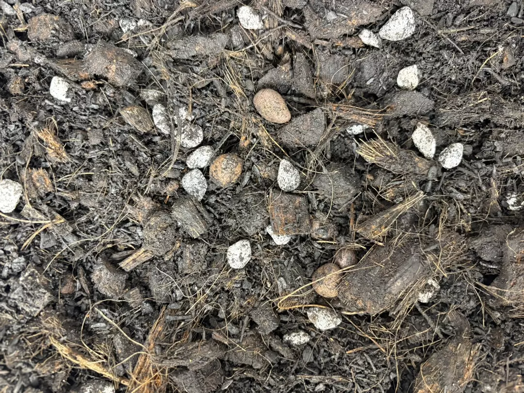 Chunky Aroid Mix - 4 quarts thumbnail