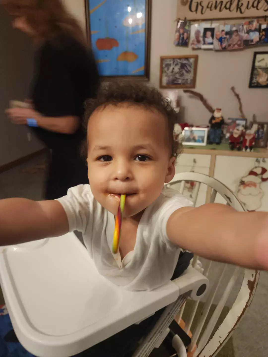 (up to 20 plants) LARGE BOX Winter Insulation thumbnail