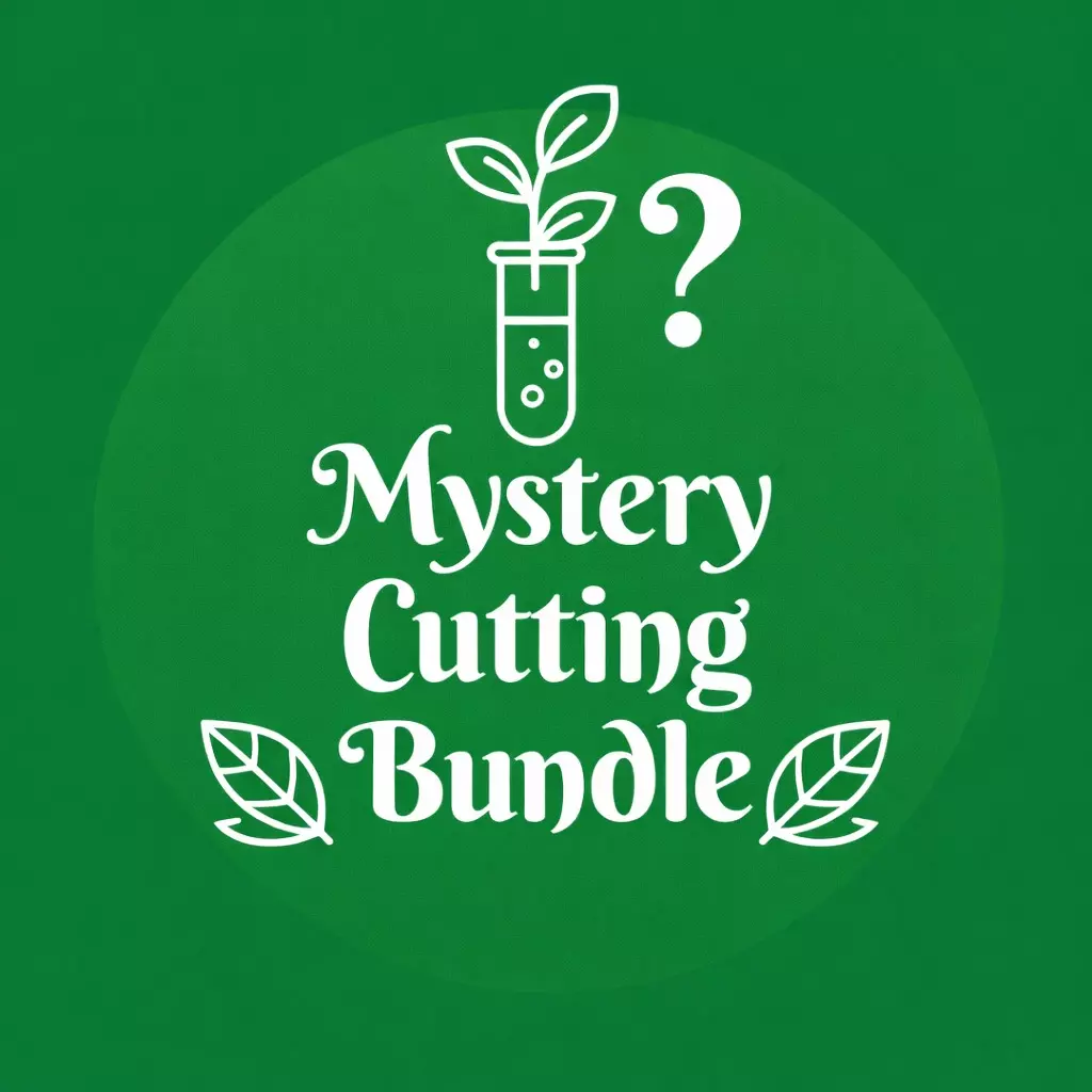 Mystery Cuttings Bundle thumbnail