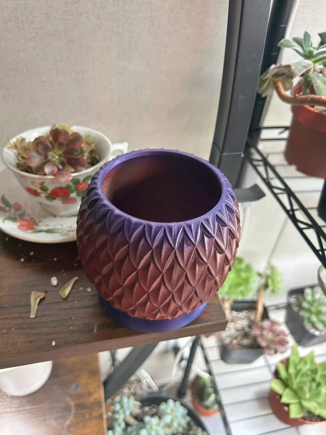 Dragon egg planter thumbnail