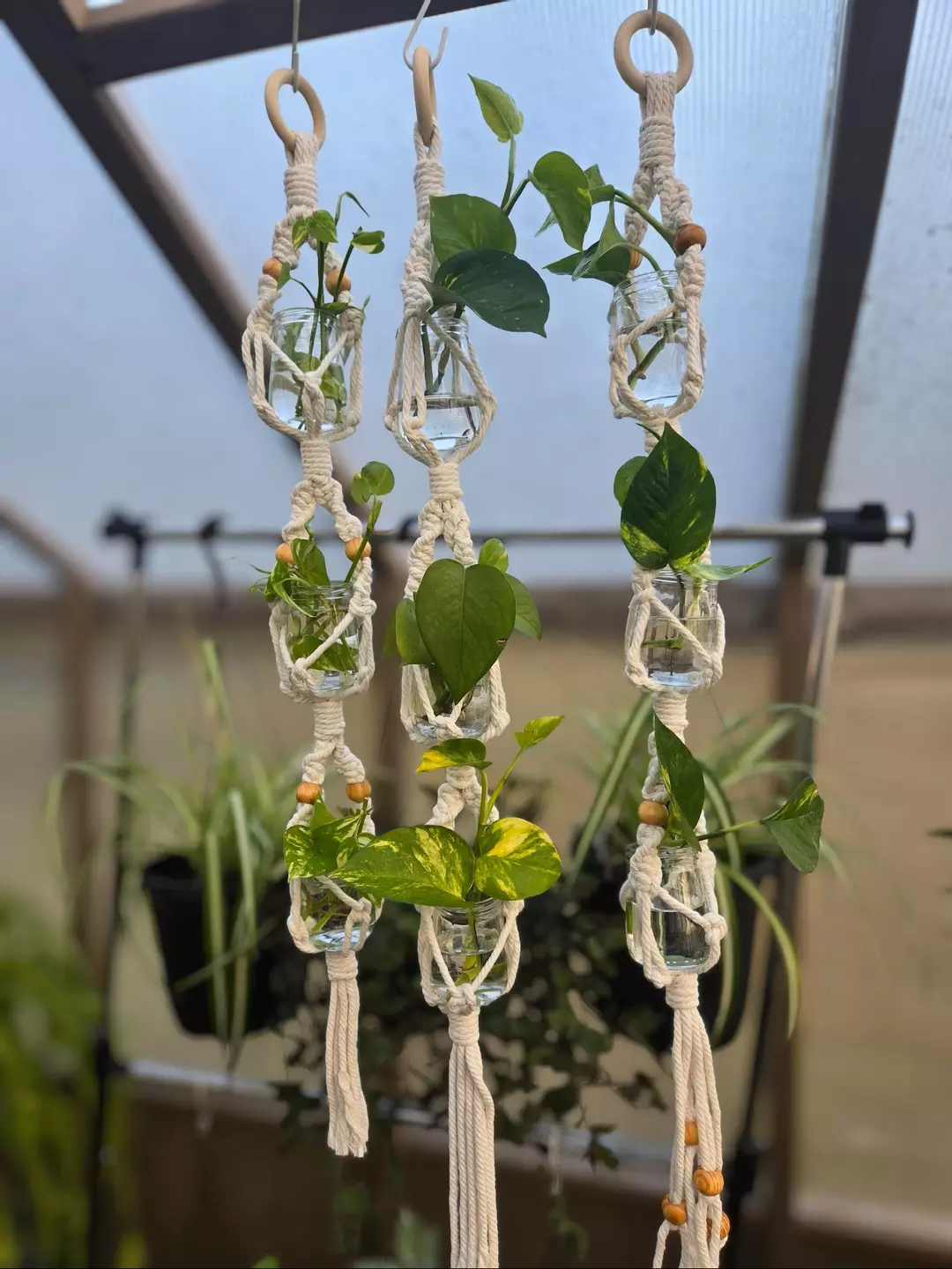 Hanging Macramé Propagation Station - Handmade Macramé Plant Hanger - NO Wooden Beads thumbnail