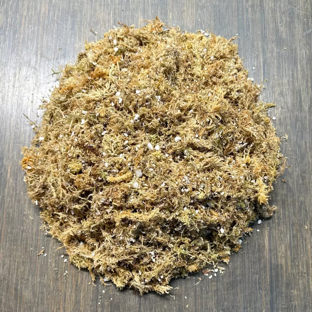 Small Box-O-Moss thumbnail