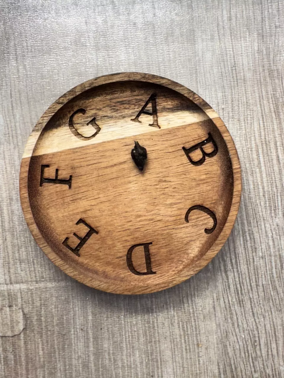 Alocasia Tyrion Albo corm thumbnail