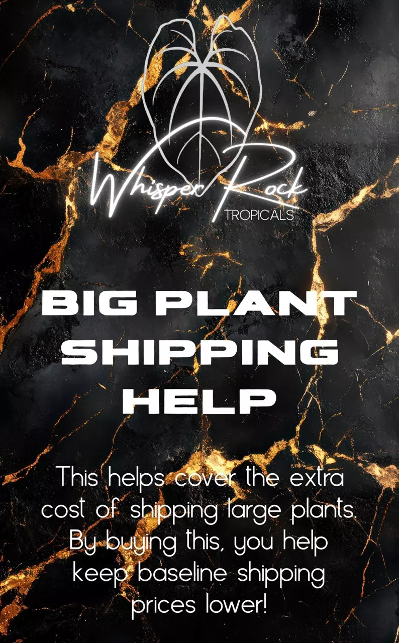 Big plant shipping help thumbnail