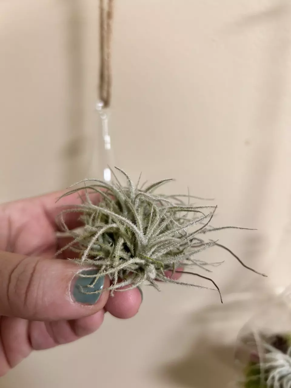 Private listing thumbnail