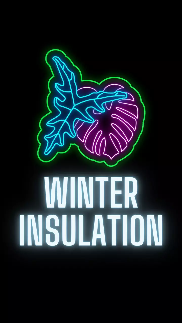 Winter Insulation thumbnail