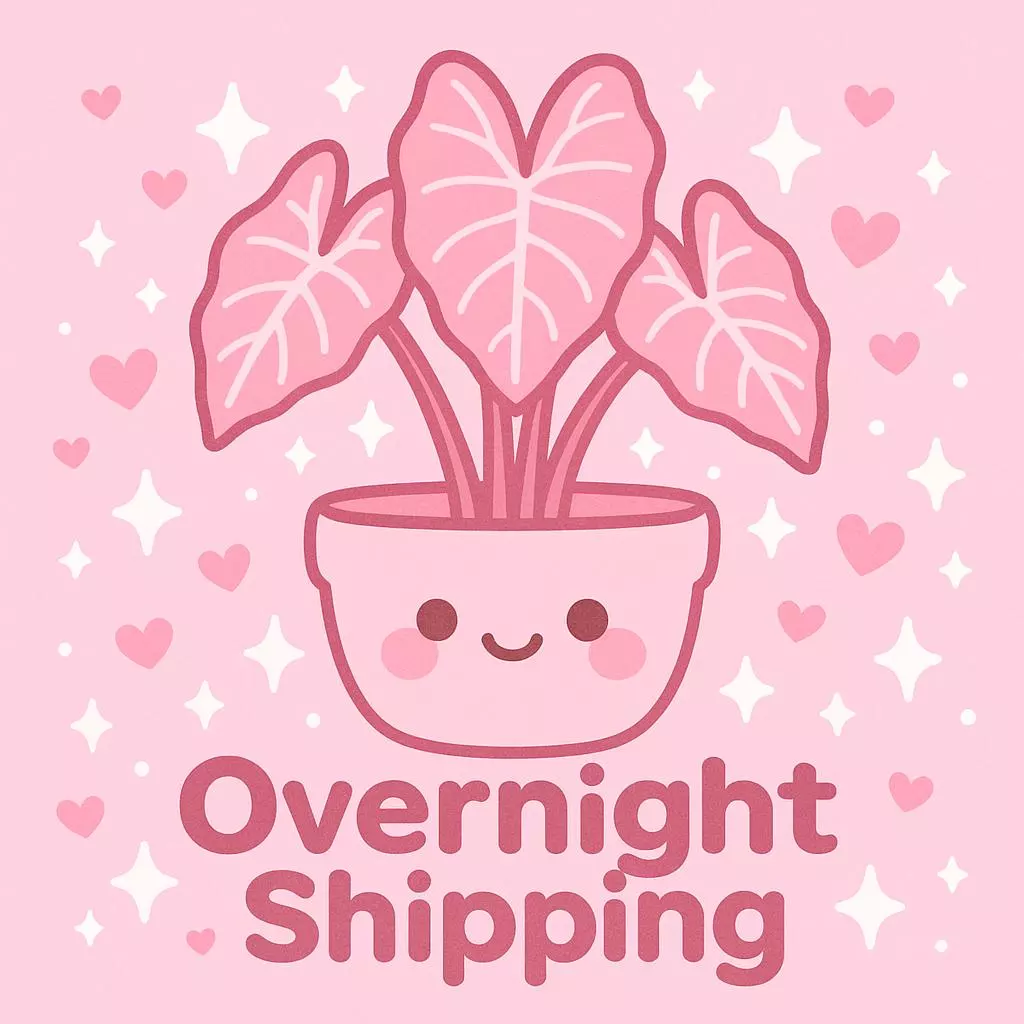 Shipping Upgrade thumbnail