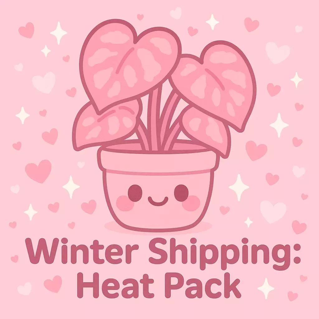 Heat Pack for Temps Below 50° thumbnail