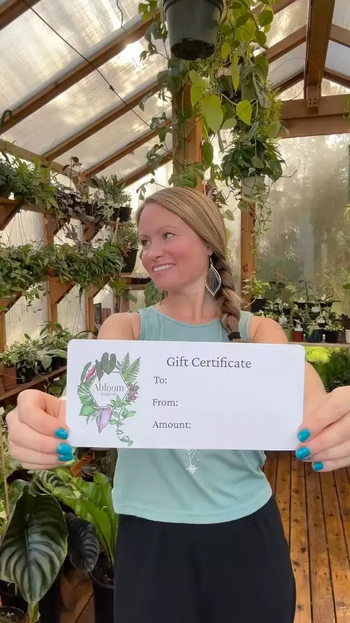 Gift Certificates available! thumbnail