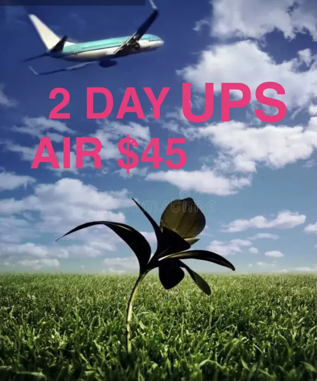 2 DAY UPS AIR thumbnail