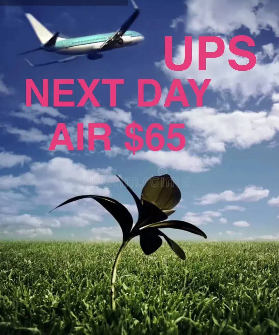 UPS NEXT DAY AIR thumbnail