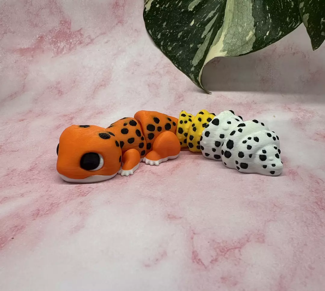 Leopard Gecko (Medium) thumbnail