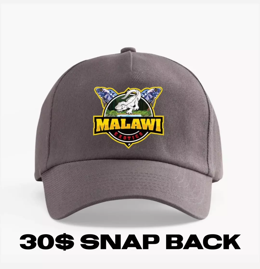 Malawi Snap Back thumbnail
