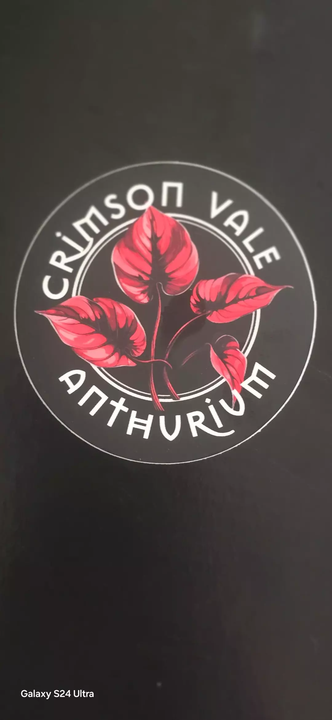 Large logo sticker thumbnail