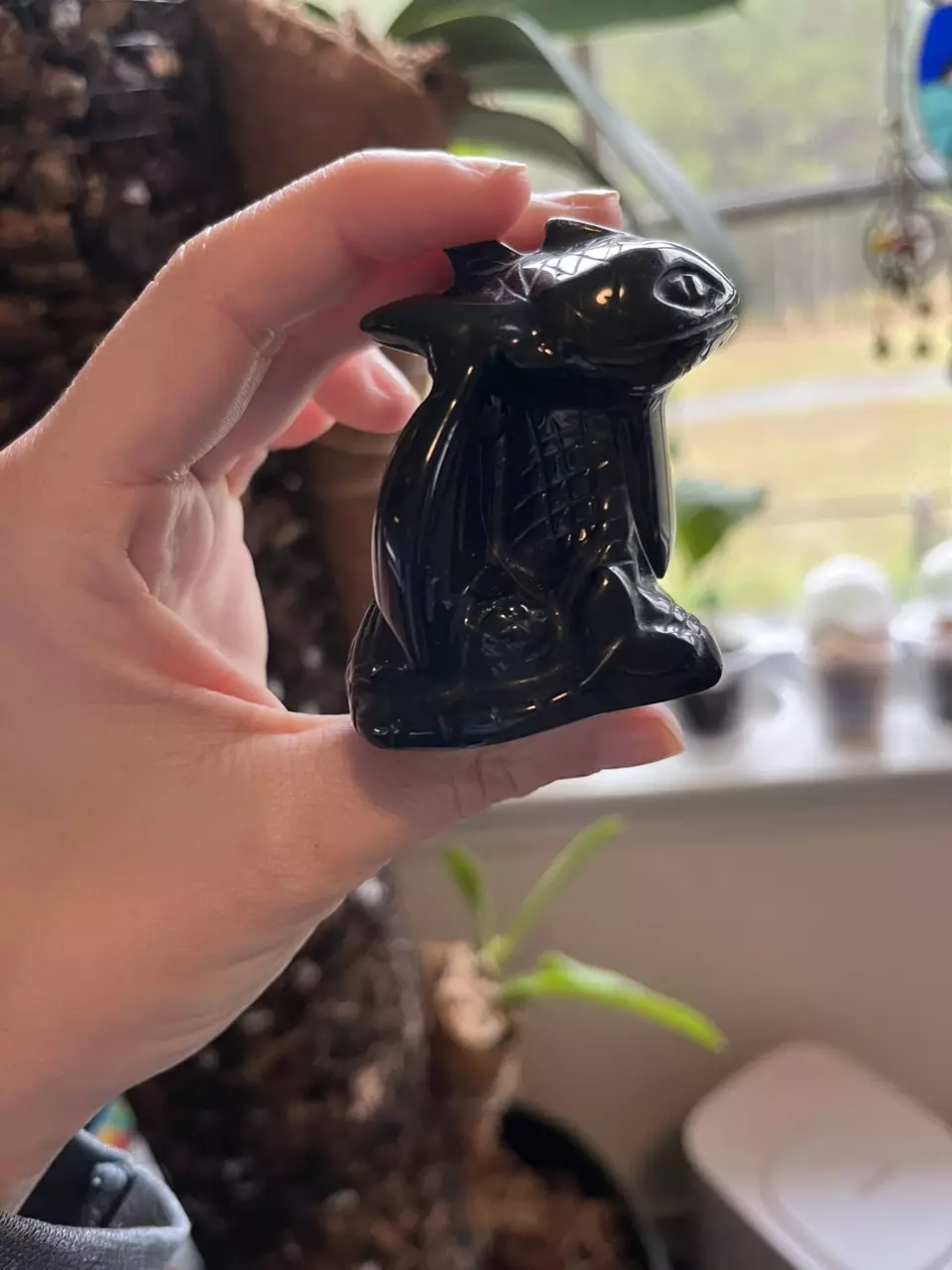 Toothless! thumbnail