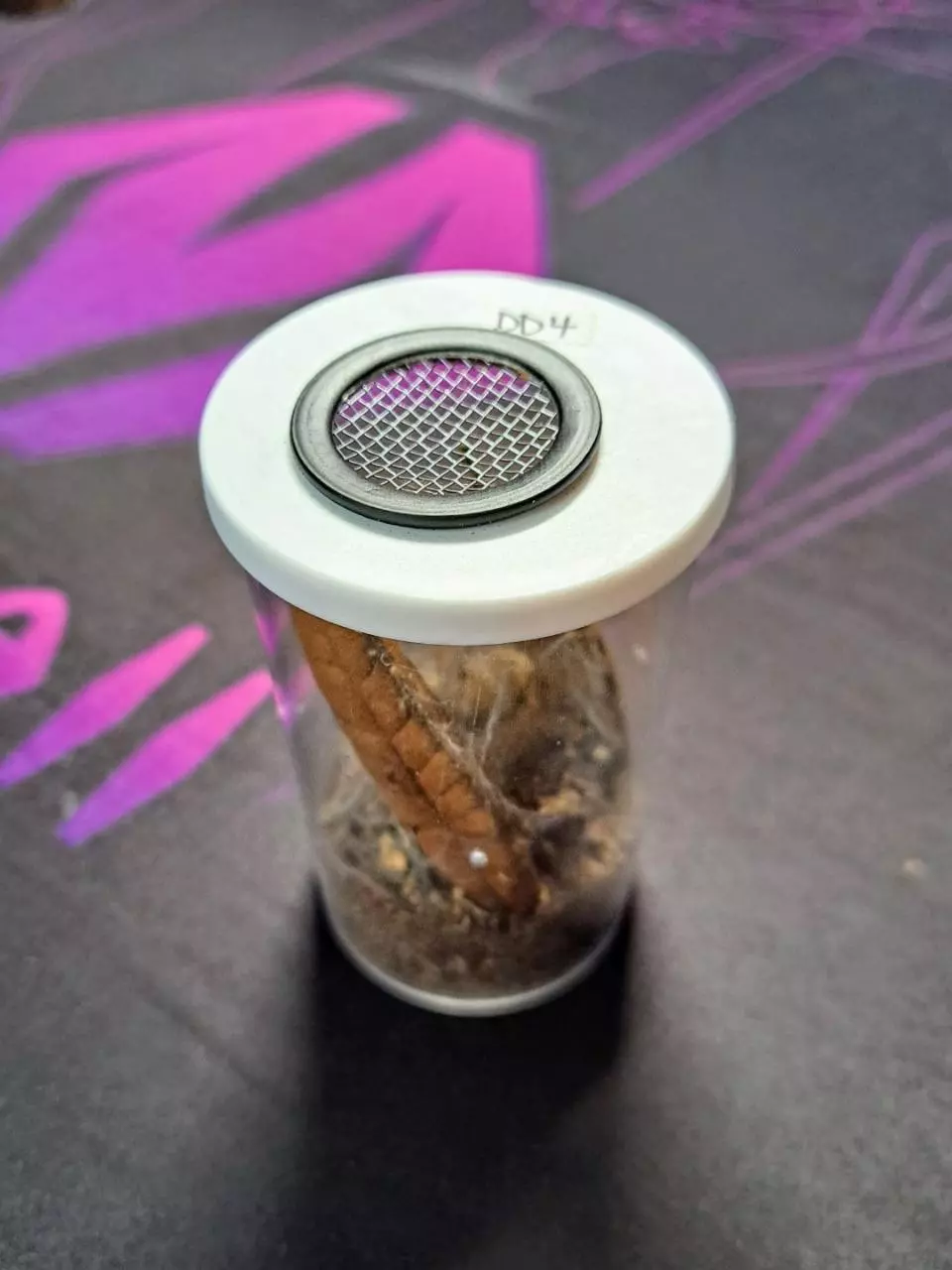 *ADD-ON* USED 40 dram vial setup thumbnail