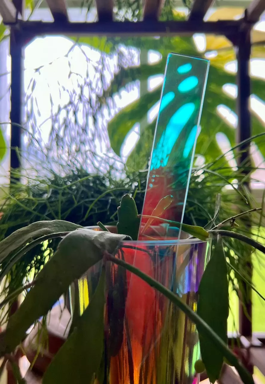 x50 Holographic Plant Tags thumbnail