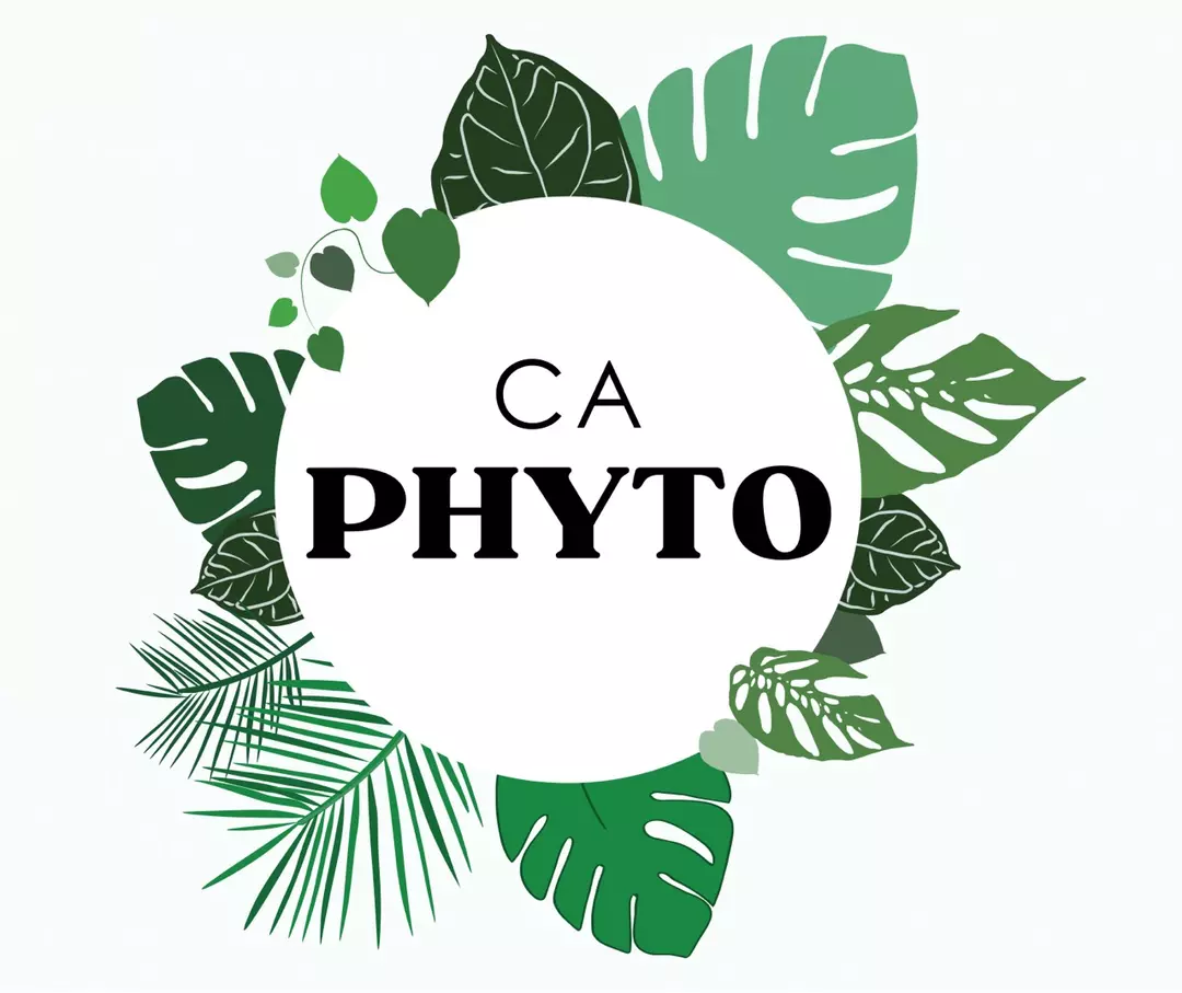 CA phyto appointment thumbnail