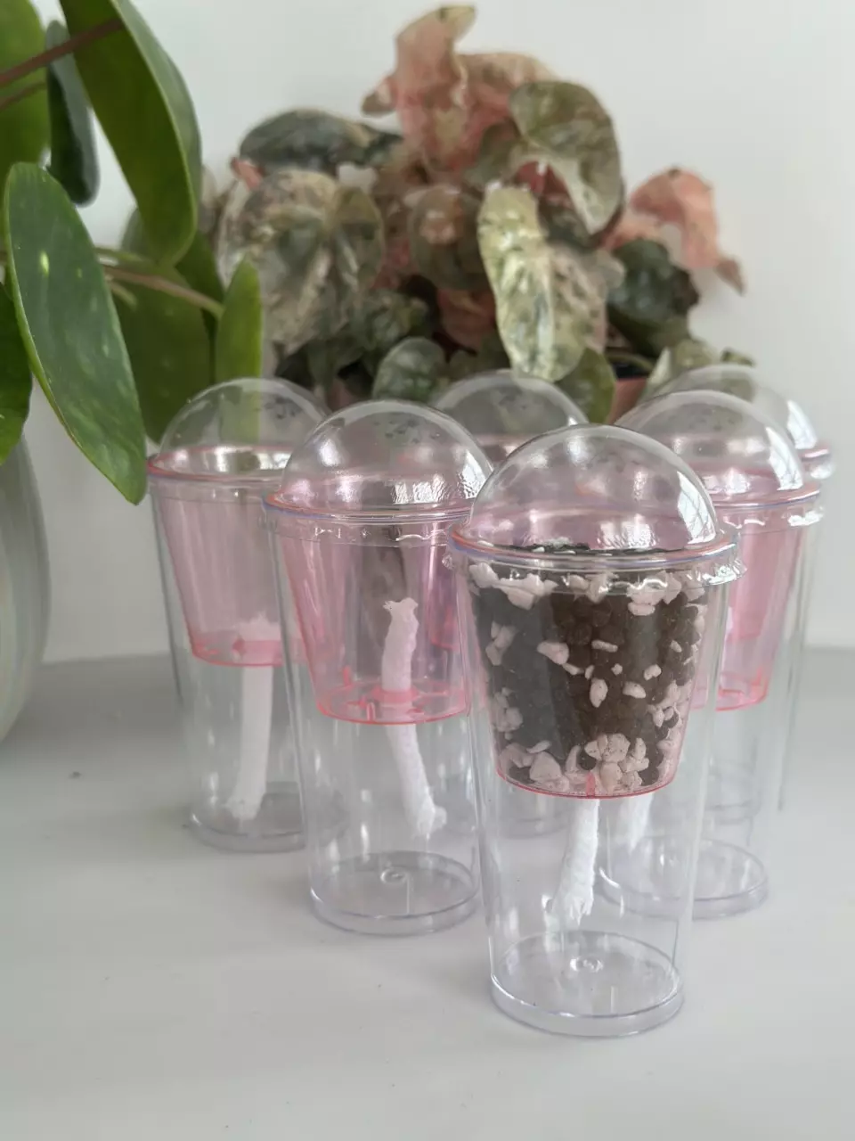 5 pack prop cups, Pink 🩷 thumbnail