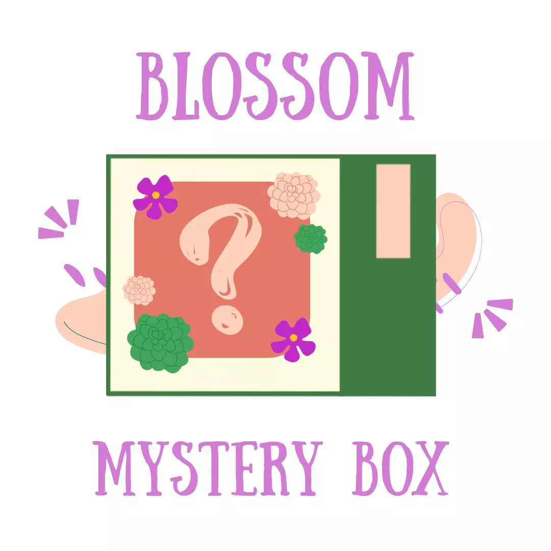 Blossom Mystery Box thumbnail