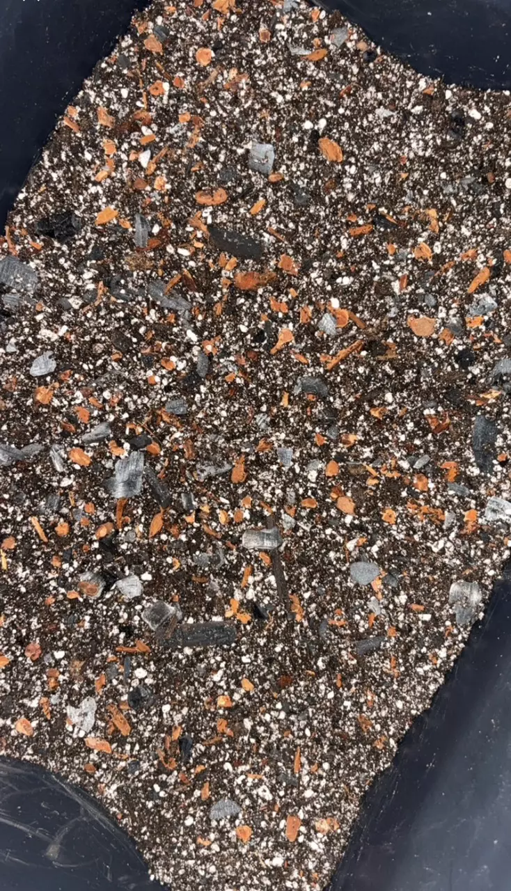 PREMIUM CHUNKY SOIL MIX 3LB thumbnail