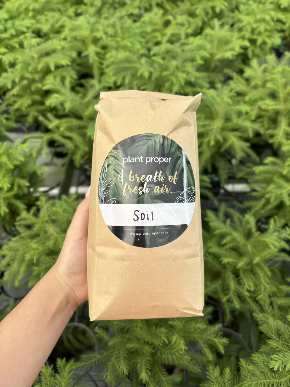 Original Soil thumbnail