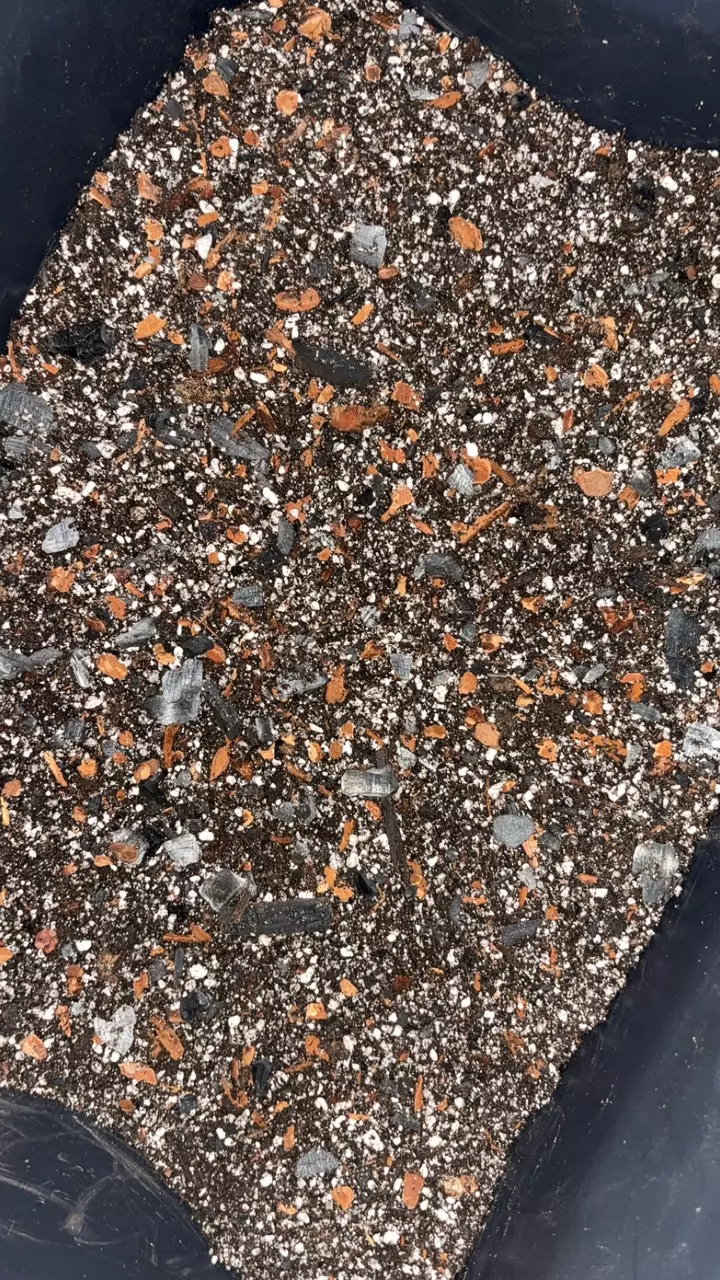 PREMIUM CHUNKY SOIL MIX 1LB thumbnail
