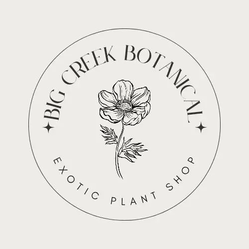 Medium plant Shipping thumbnail